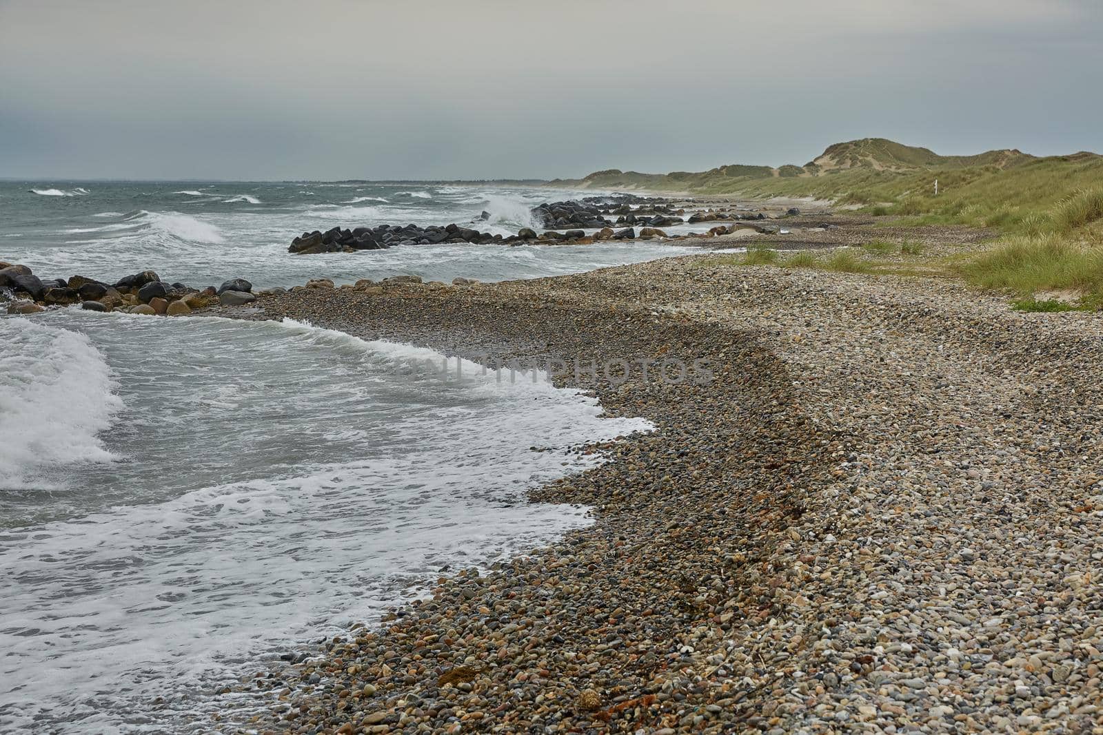 Seaside and landscape near town of Skagen in Denmark.