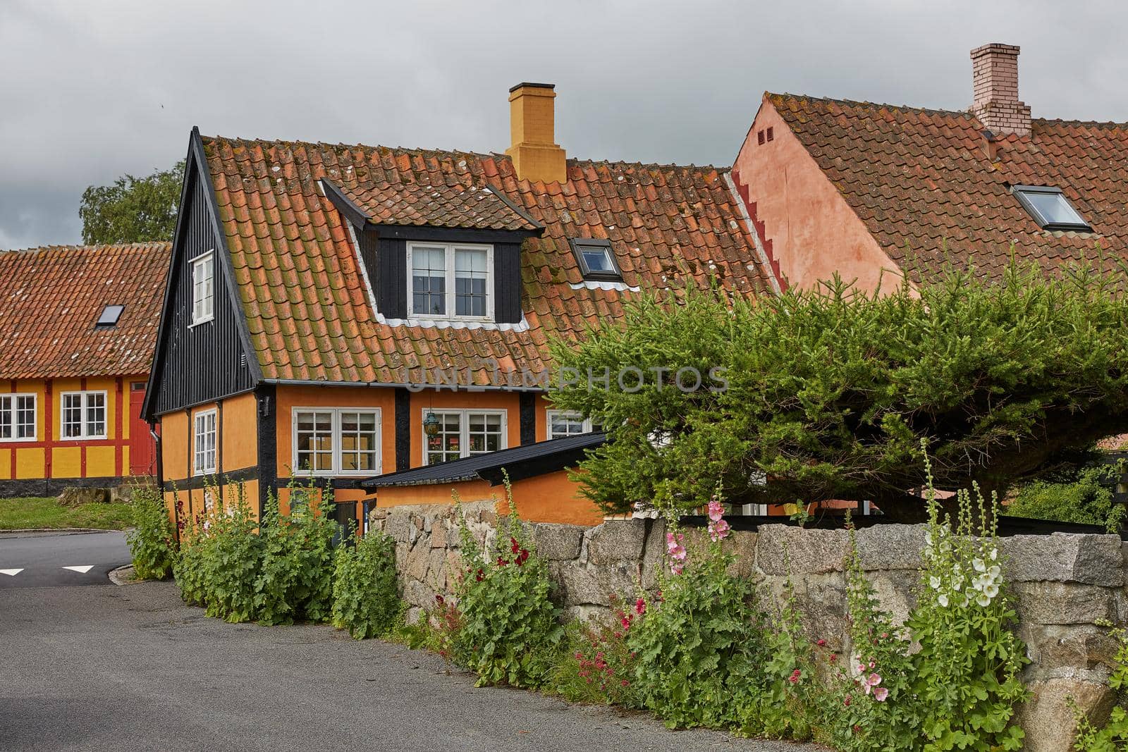 Traditional colorful half-timbered houses on Bornholm island in Svaneke Denmark.