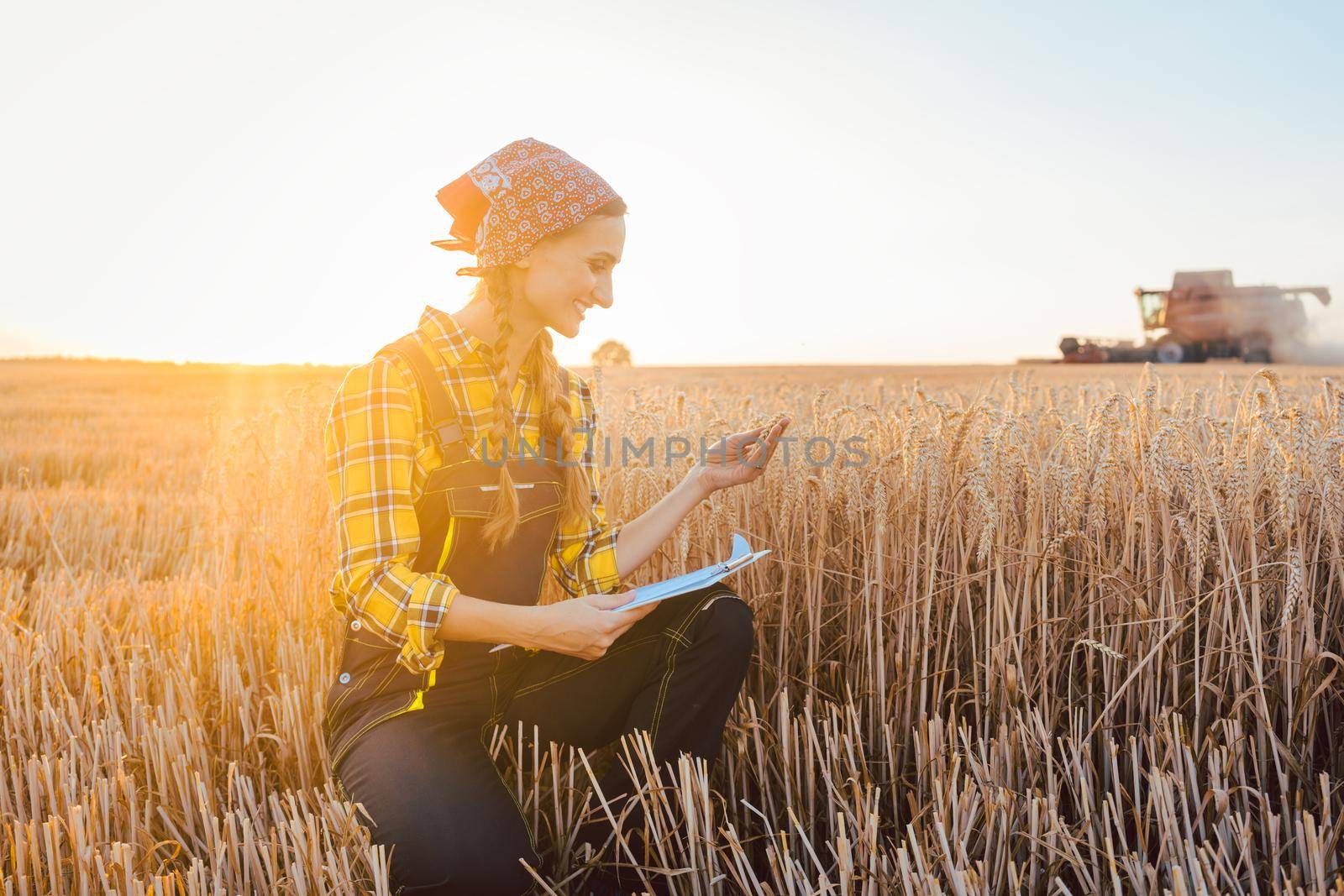 Farmer on a field during harvest with clipboard by Kzenon