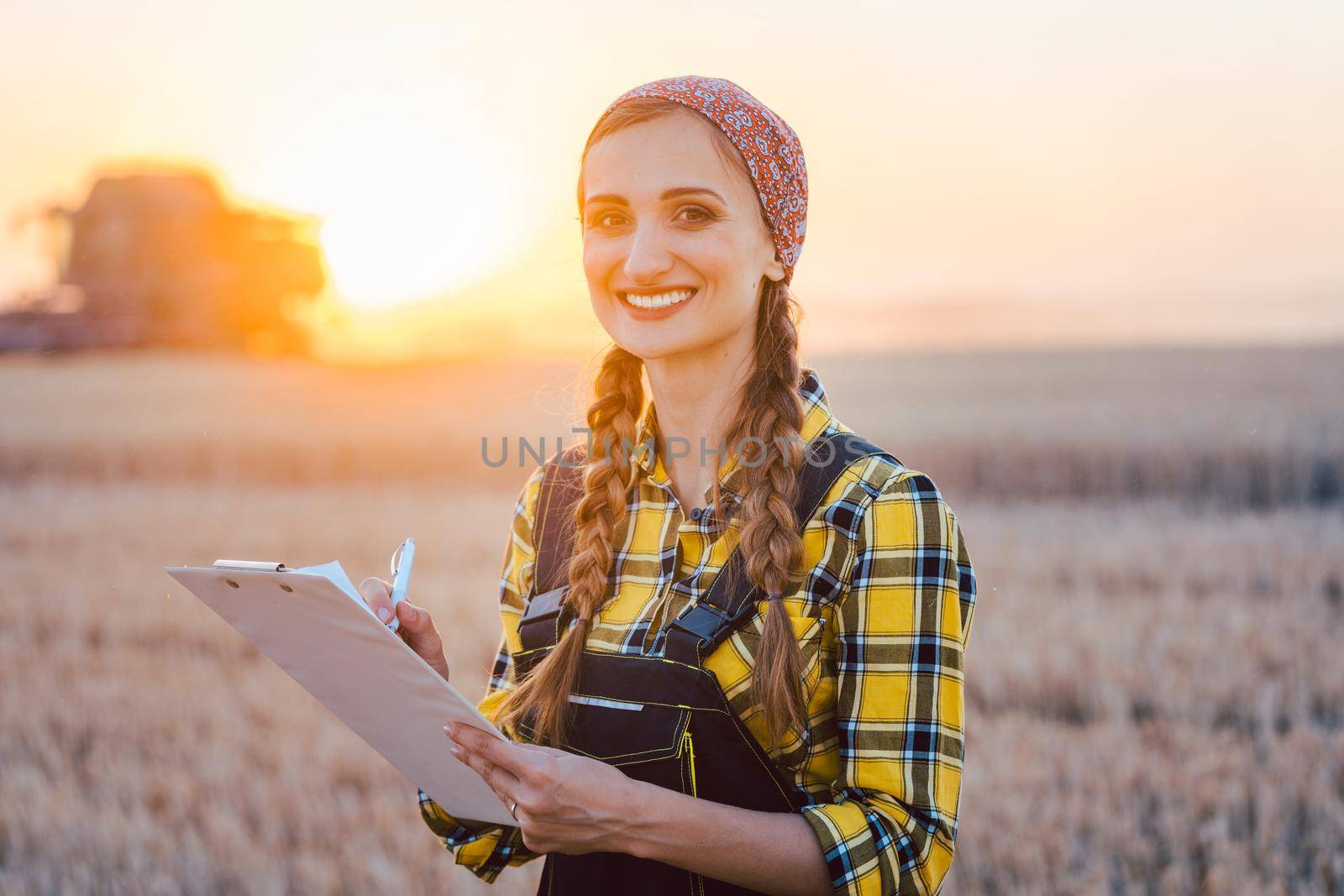 Farmer woman and combine harvester on wheat field during sunset