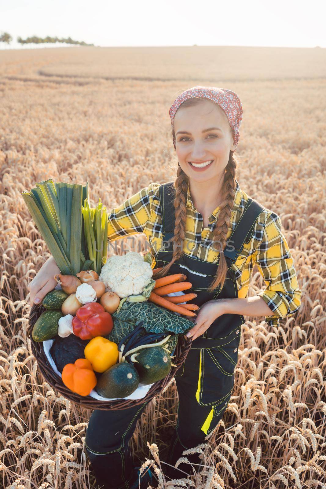 Woman carrying basket with healthy and locally produced vegetables by Kzenon