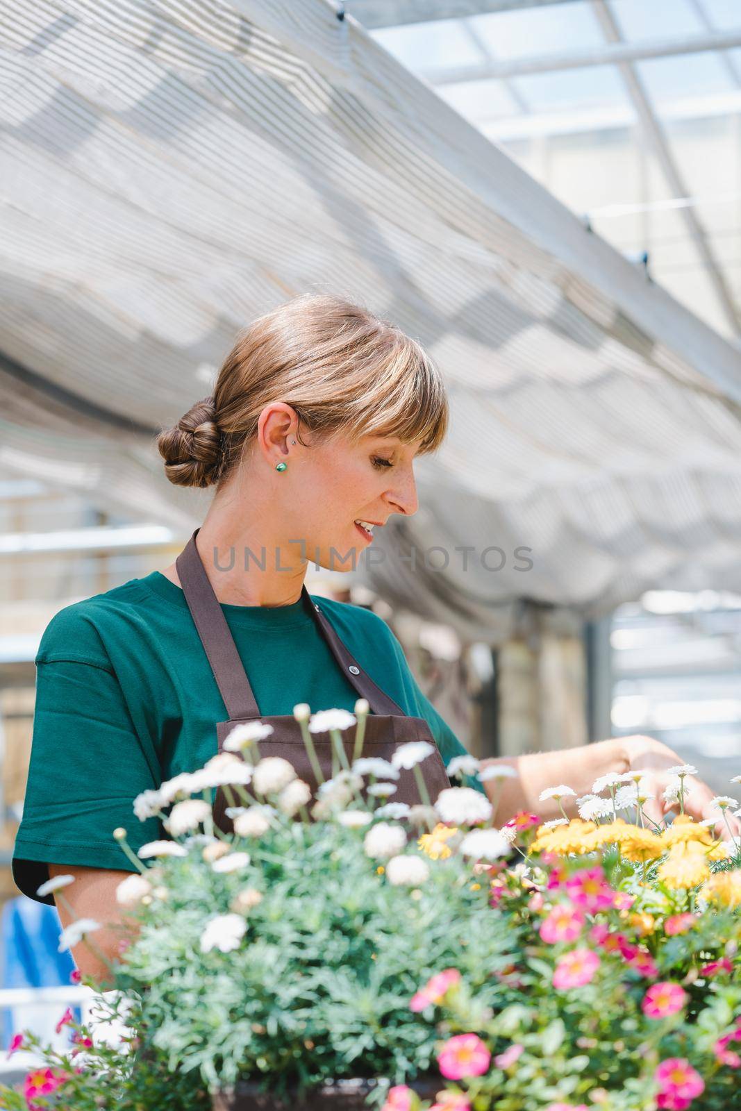 Commercial gardener woman taking care of her potted flowers by Kzenon