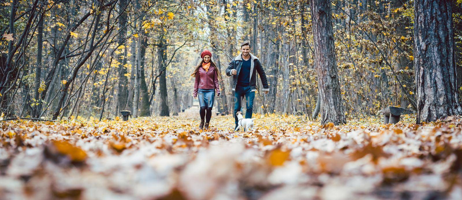 Young couple walking with their dog in a colorful autumn forest having fun outdoors