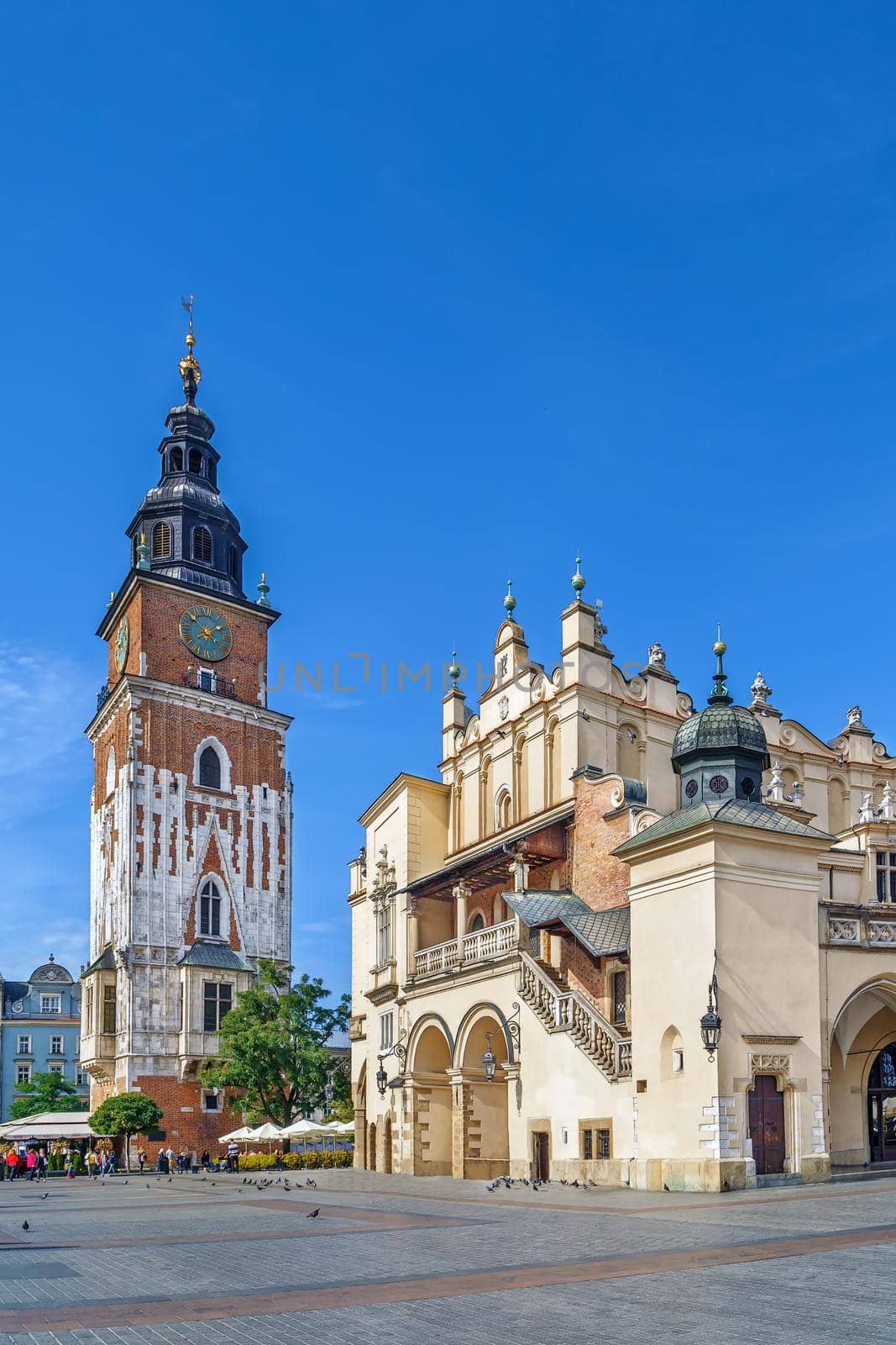 Krakow Cloth Hall and Town Hall Tower on Main square in Krakow, Poland