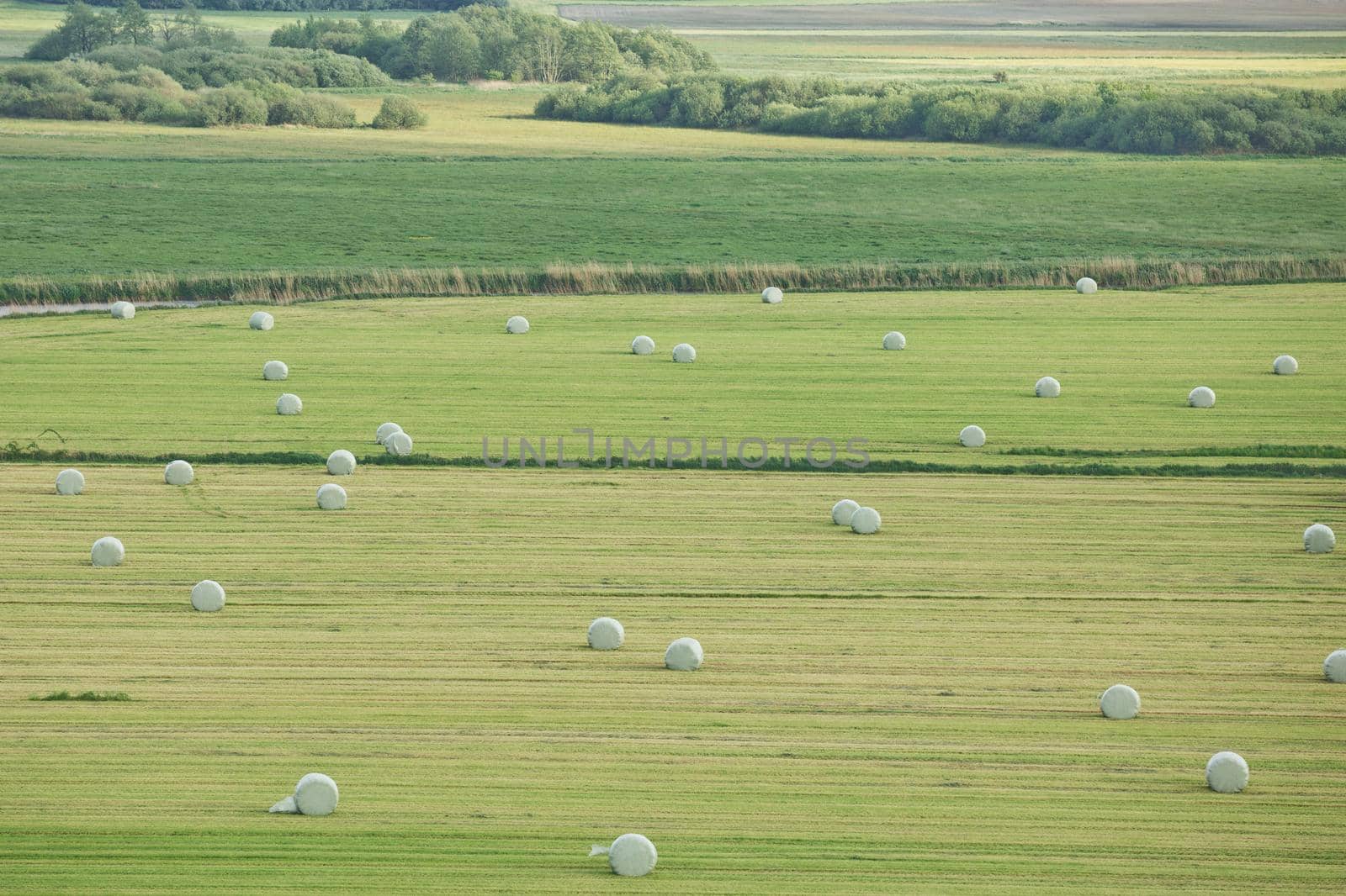 Beautiful countryside landscape with fields and small river near Kiel - Schleswig-Holstein - Germany.