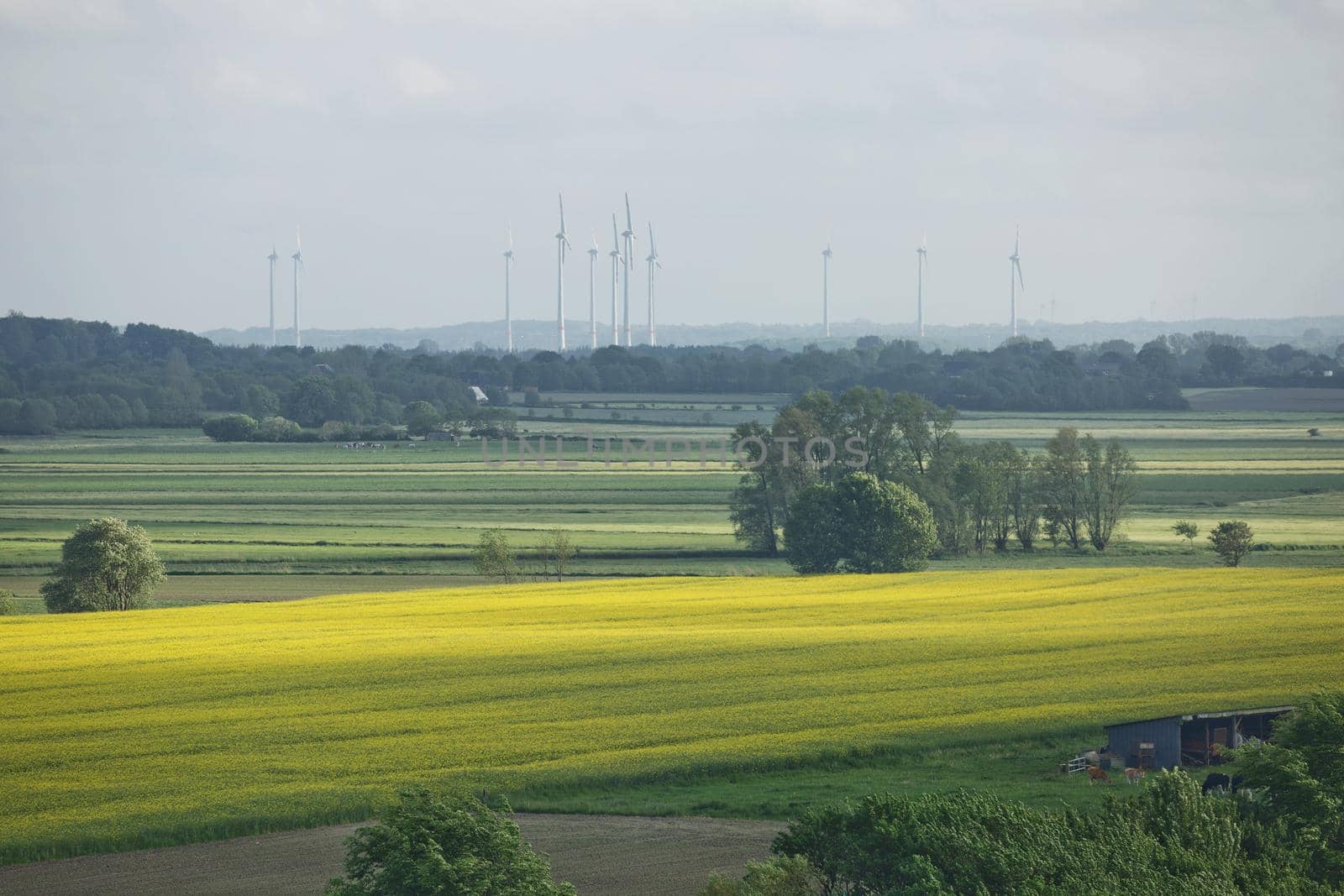 Beautiful countryside landscape with fields and windmills near Kiel - Schleswig-Holstein - Germany.