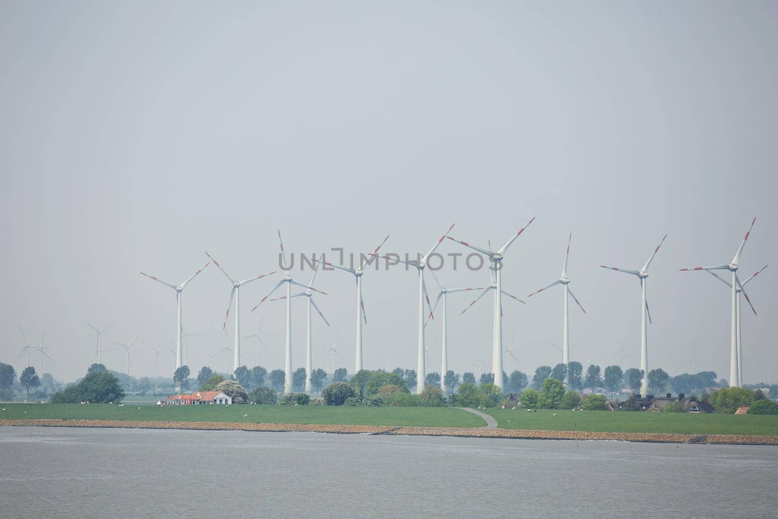 Windmills power plant and turbines generating renewable green energy near to Kiel canal in Germany.