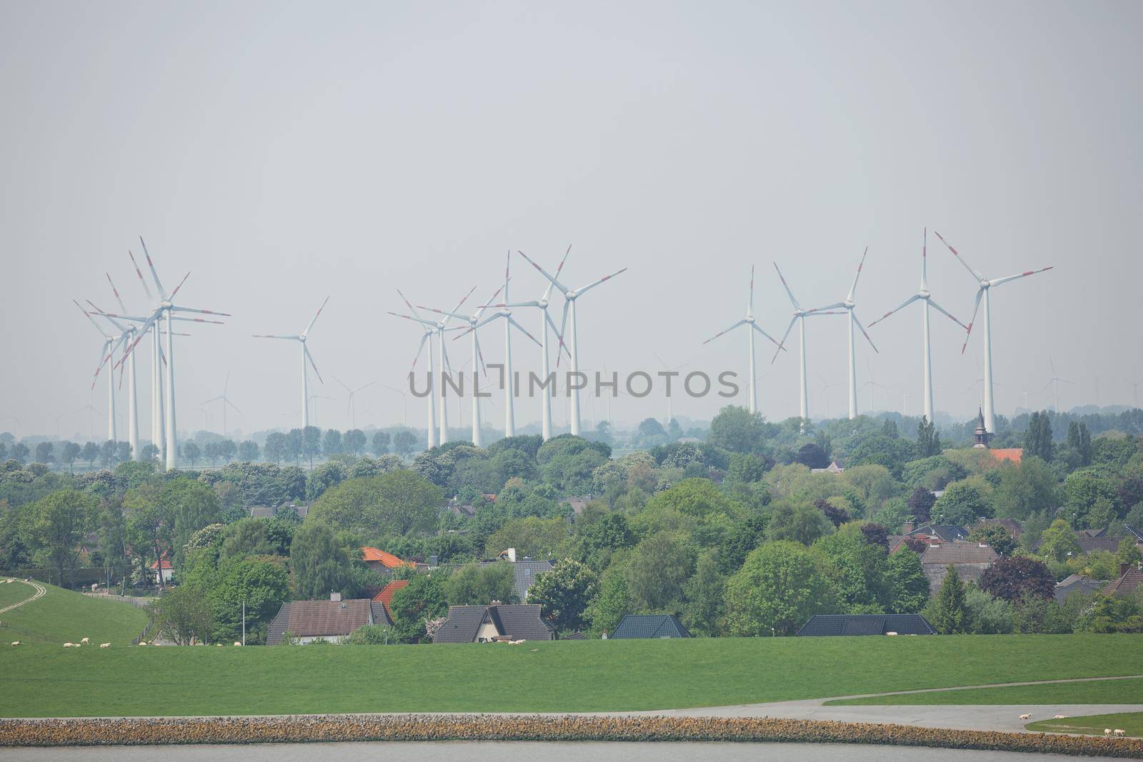 Windmills power plant and turbines generating renewable green energy near to Kiel canal in Germany.