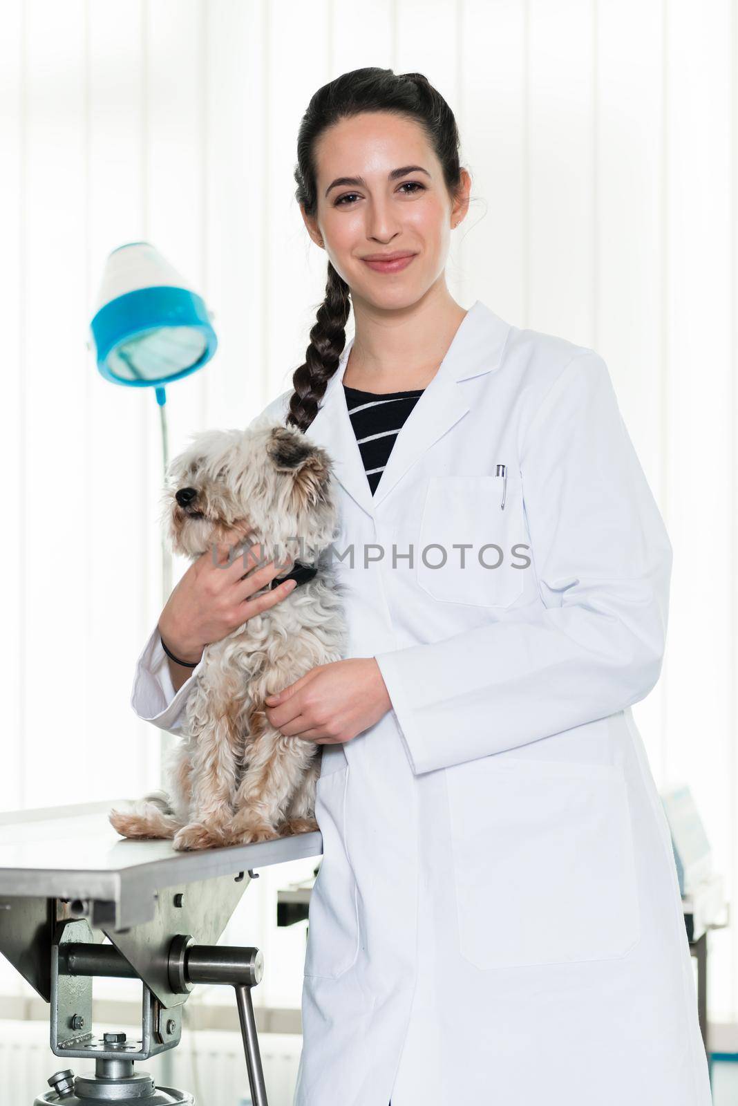 Portrait of smiling veterinarian and cute puppy in clinic