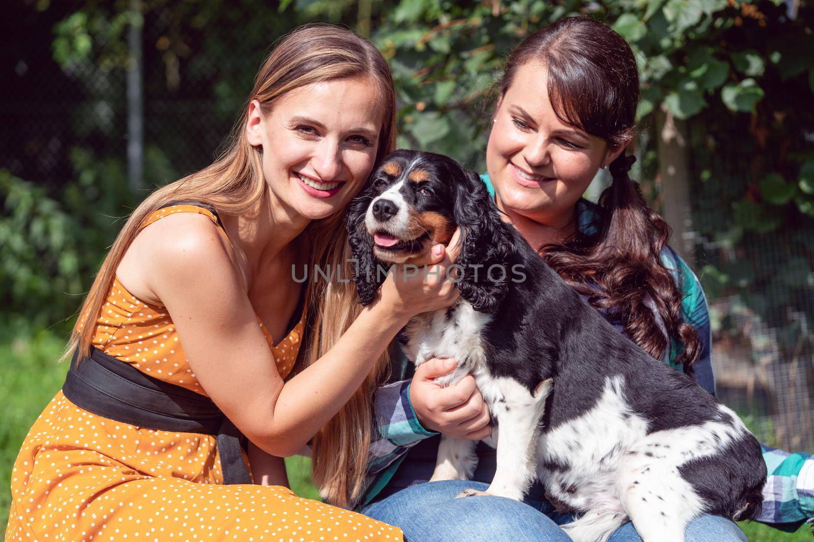Women friends playing with dogs in the animal shelter by Kzenon
