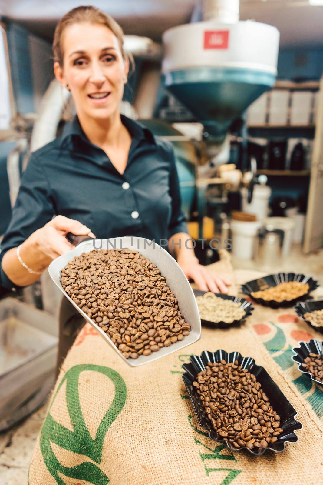 Different kinds of coffee beans in the roastery shown by barista