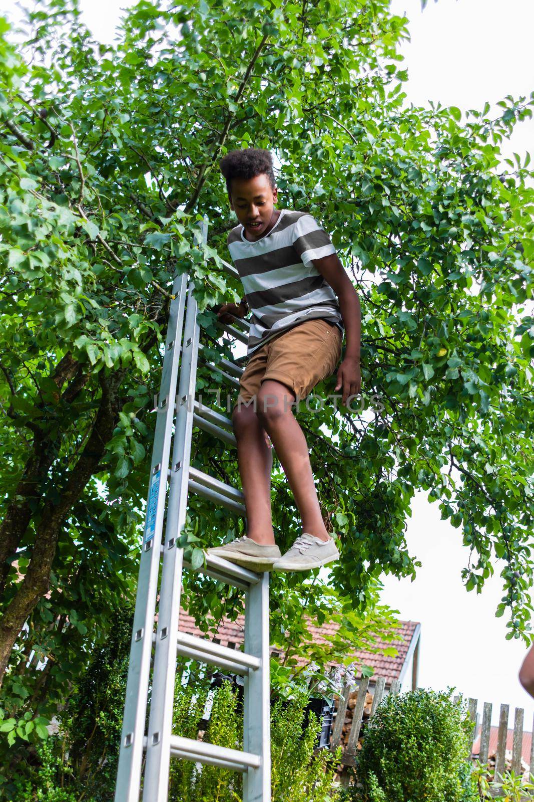 Boy climbing over the ladder near the tree in the backyard