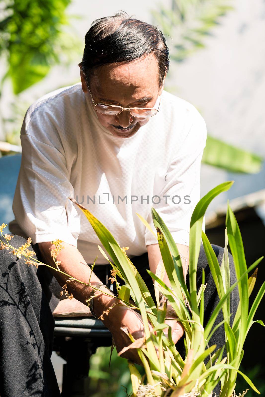 Close-up of senior man planting flowers in the garden