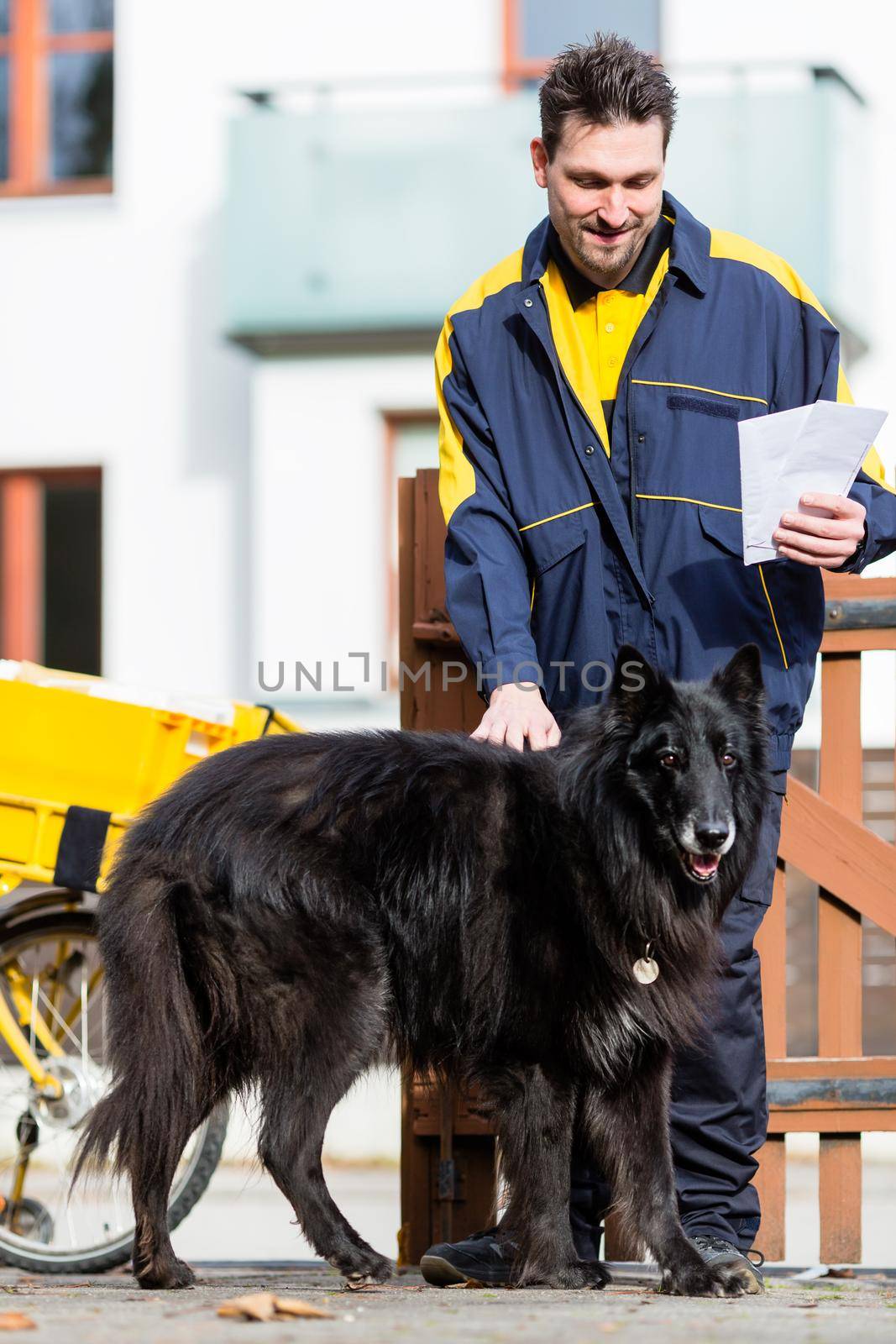 Big black dog welcoming postman at garden gate by Kzenon