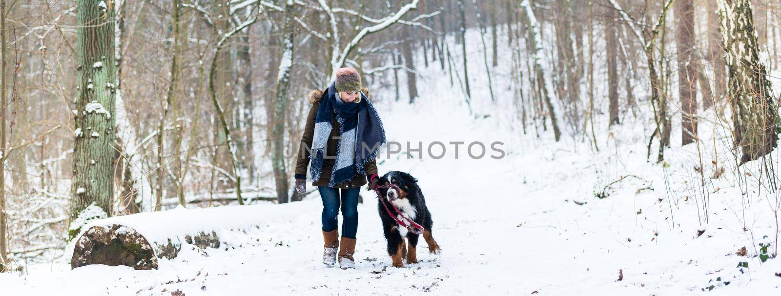 Woman with her dog hiking or walking in winter by Kzenon