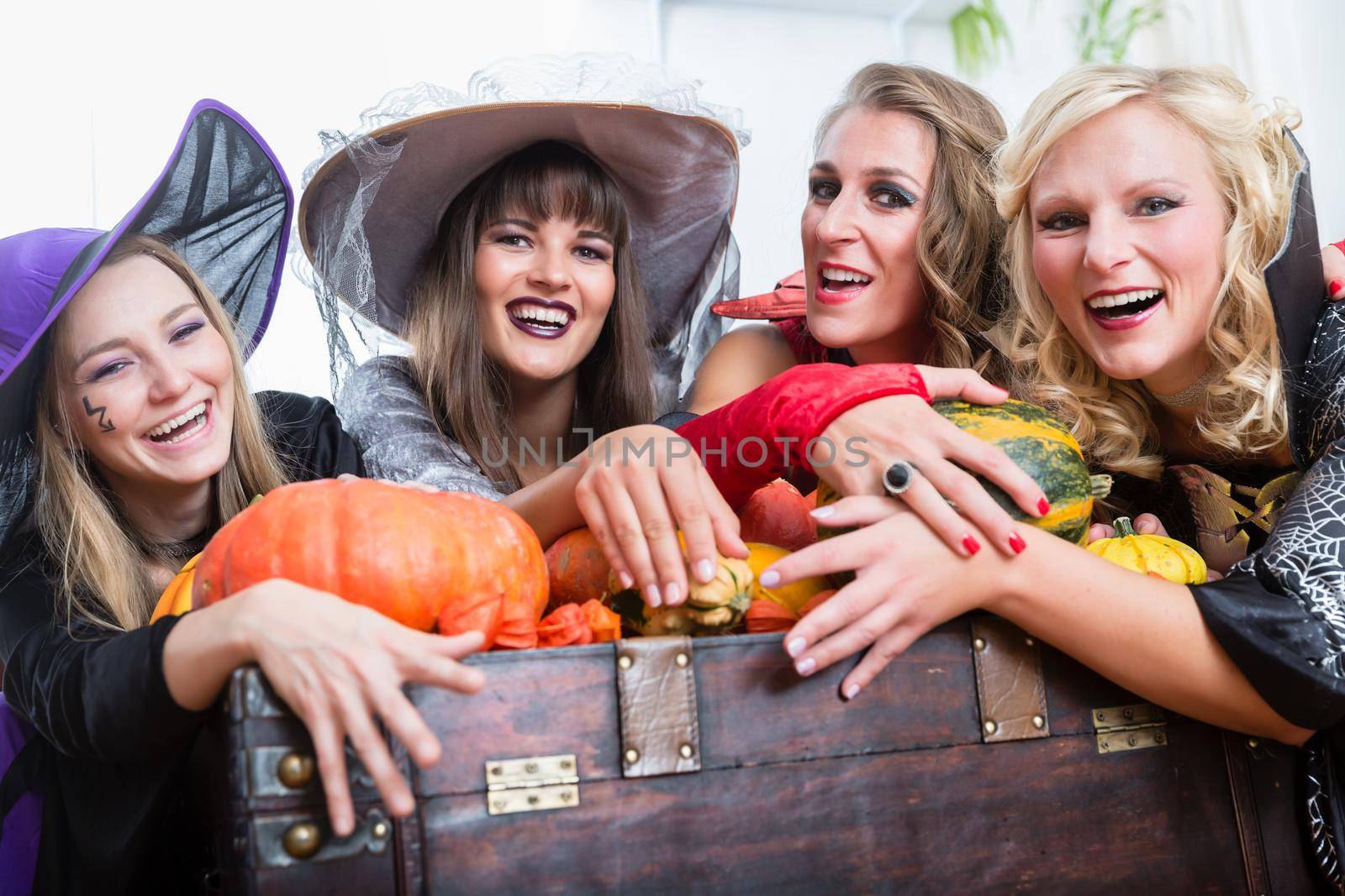 Portrait of four young and beautiful women wearing witch costumes while posing together with pumpkins and an old trunk at Halloween