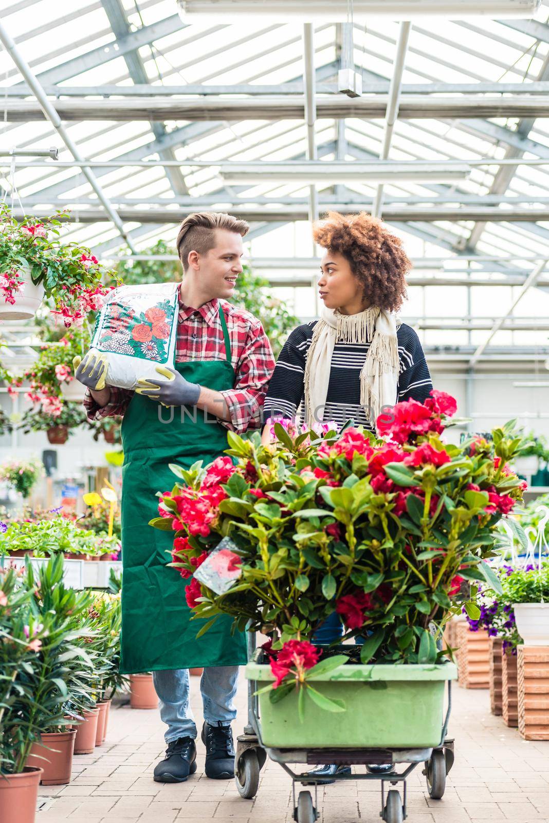Cheerful handsome worker carrying a bag of potting soil while talking with a beautiful female customer in a modern flower shop