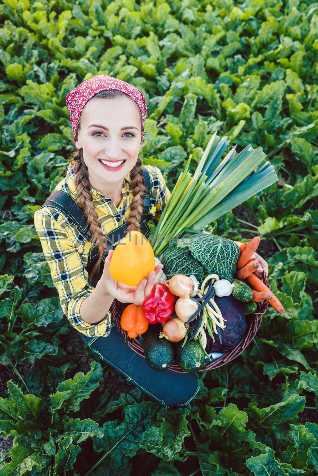 Farmer woman in a field offering colorful organic vegetables as healthy food
