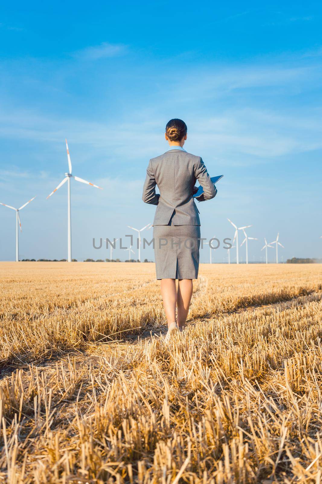 Investor in green energy looking at her wind turbines by Kzenon