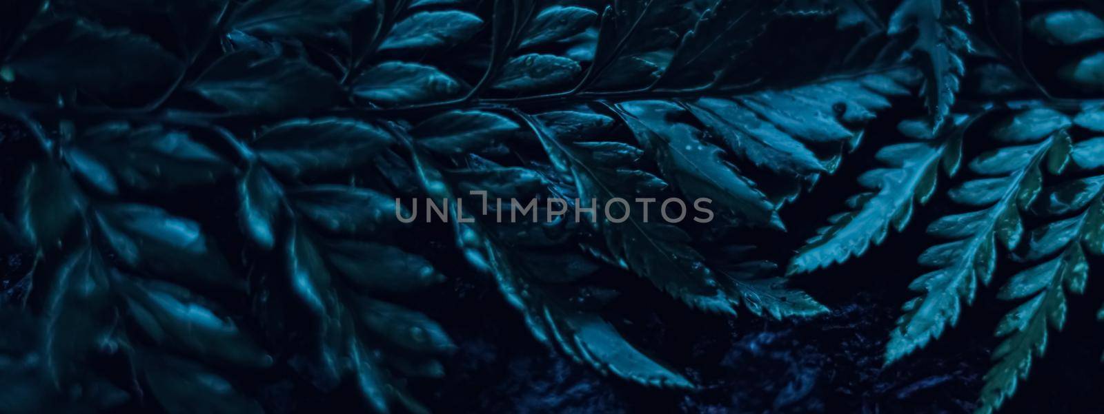 Blue plant leaves at night as surreal botanical background, minimal design backdrop