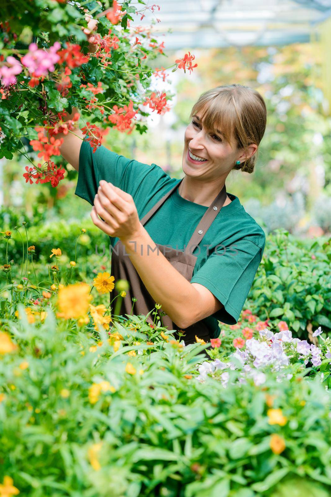 Gardener woman in her shop taking care of some flowers by Kzenon