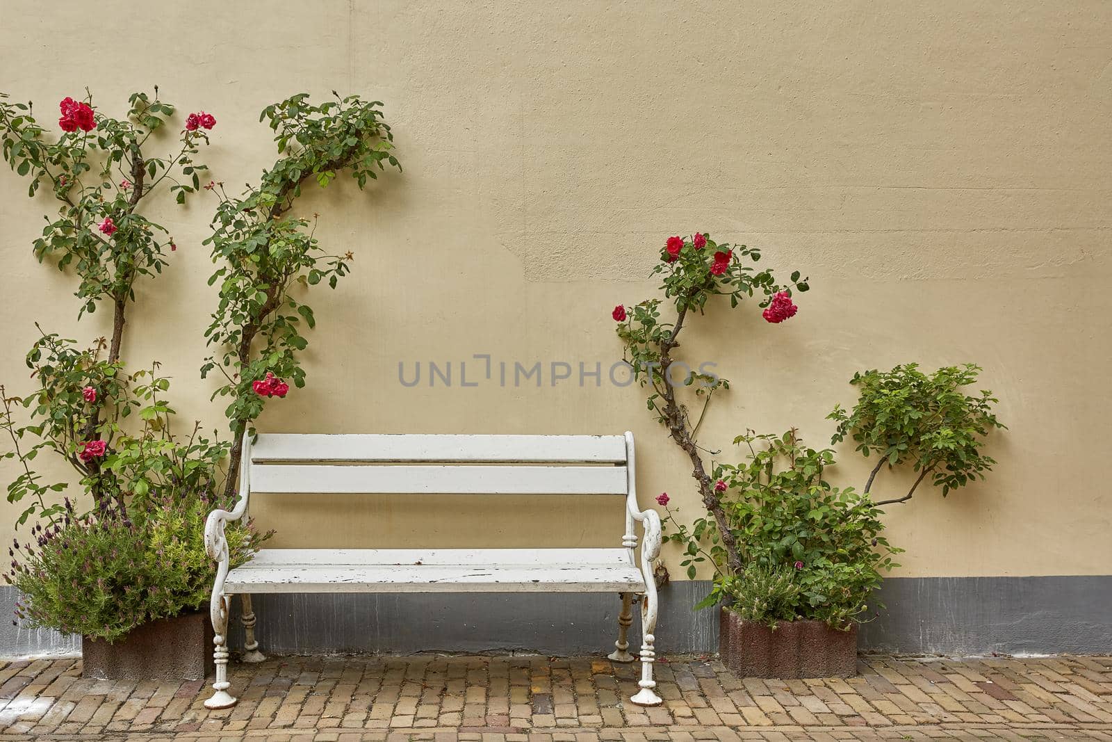 House entrance decorated with flowers. Rustic style concept. Beautiful design elements of unknown building in Vlissengen Netherlands.