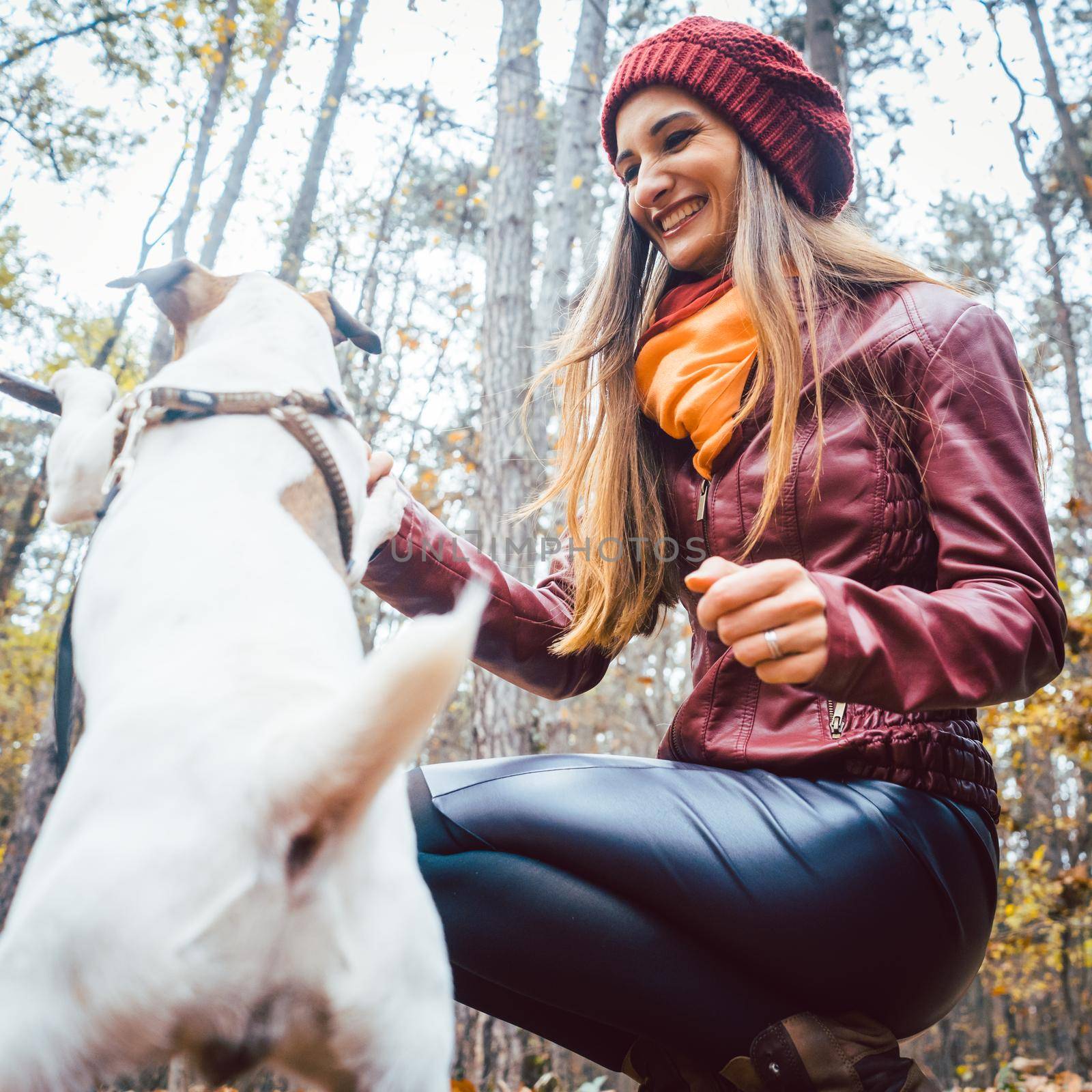 Woman and her dog in playful mood having fun in fall forest