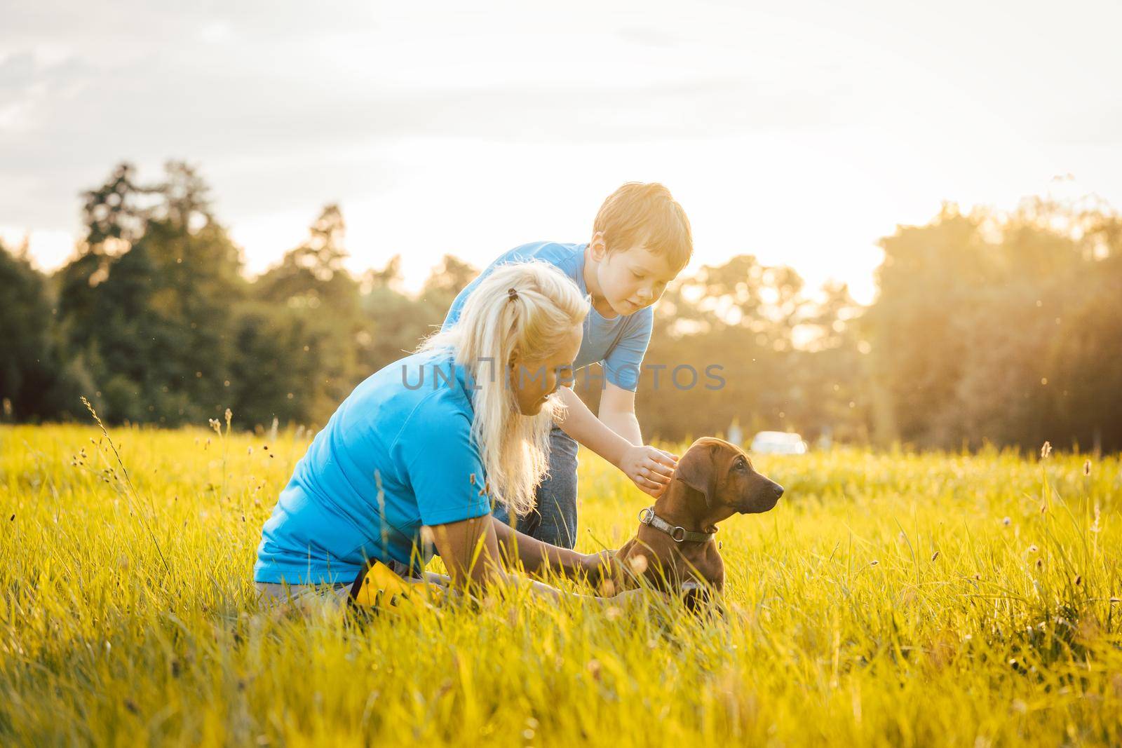 Family with their dog in nature during sunset