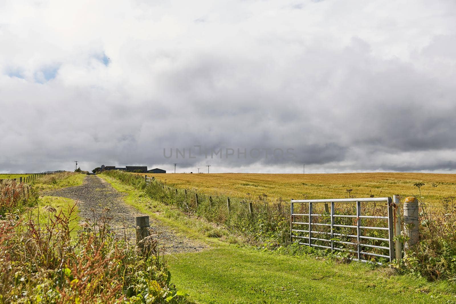 Landscape near John o'Groats area. Highlights nothern most mainland of Scotland