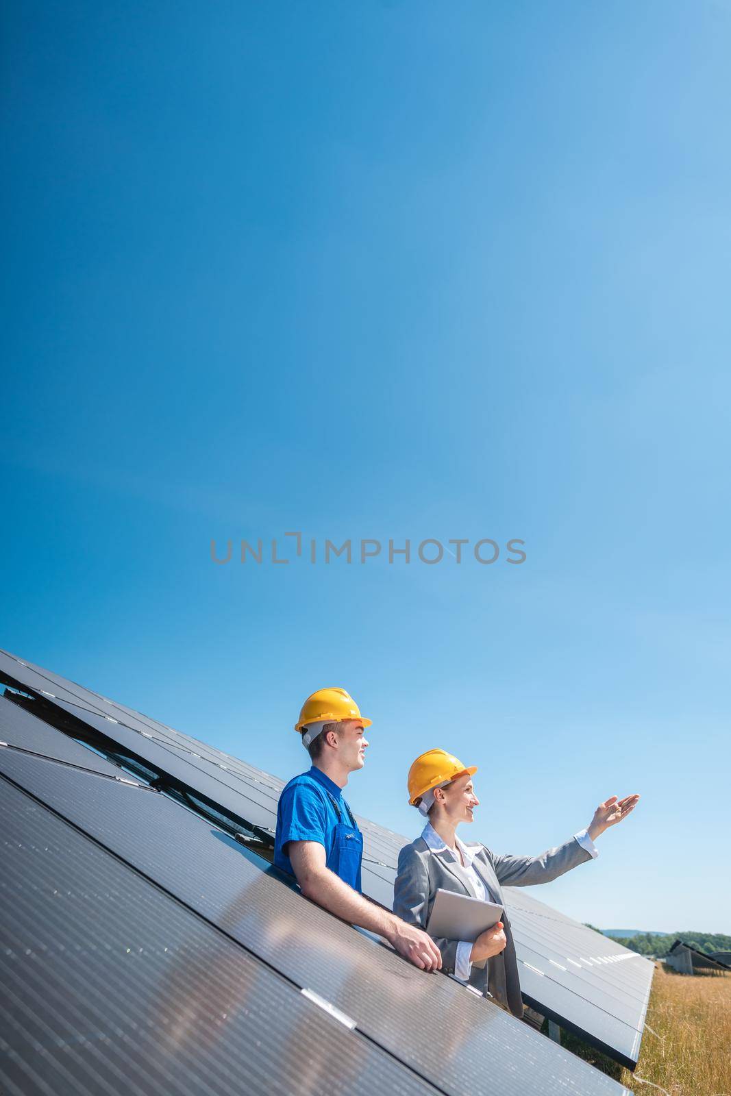 Worker and manager of solar farm looking into the sun standing amid photovoltaic panels