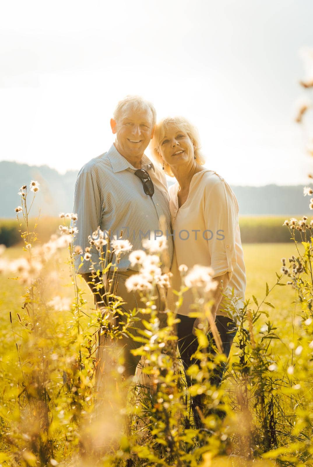 Senior couple on a sunlit meadow embracing each other looking at the camera