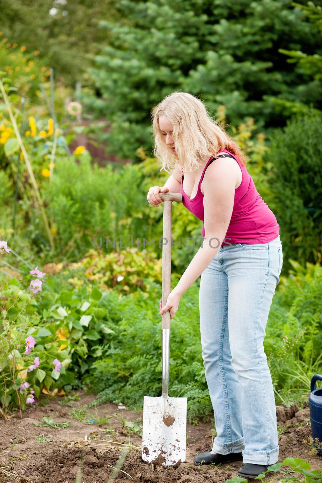 Woman gardener digging the soil by Kzenon