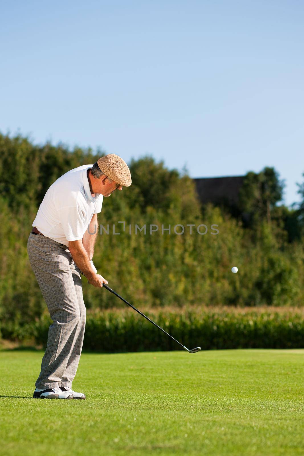 Senior golfer doing a golf stroke, he is playing on a wonderful summer afternoon