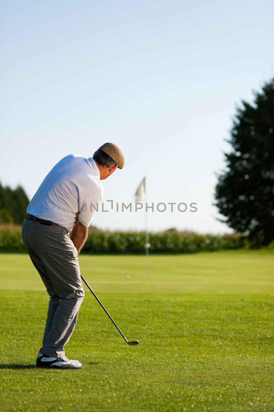 Senior golfer doing a golf stroke, he is playing on a wonderful summer afternoon