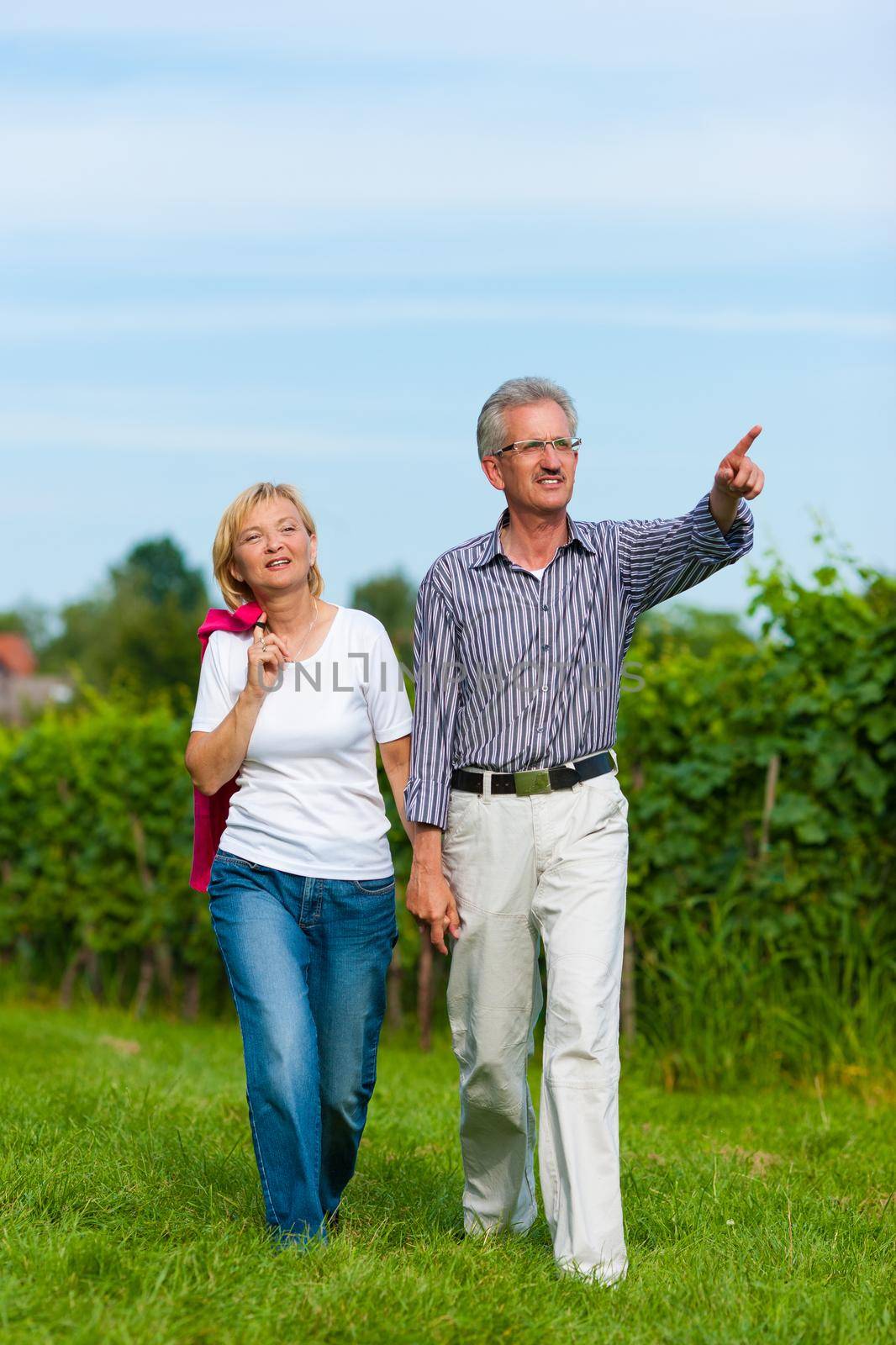 Visibly happy mature or senior couple outdoors hand in hand having a walk