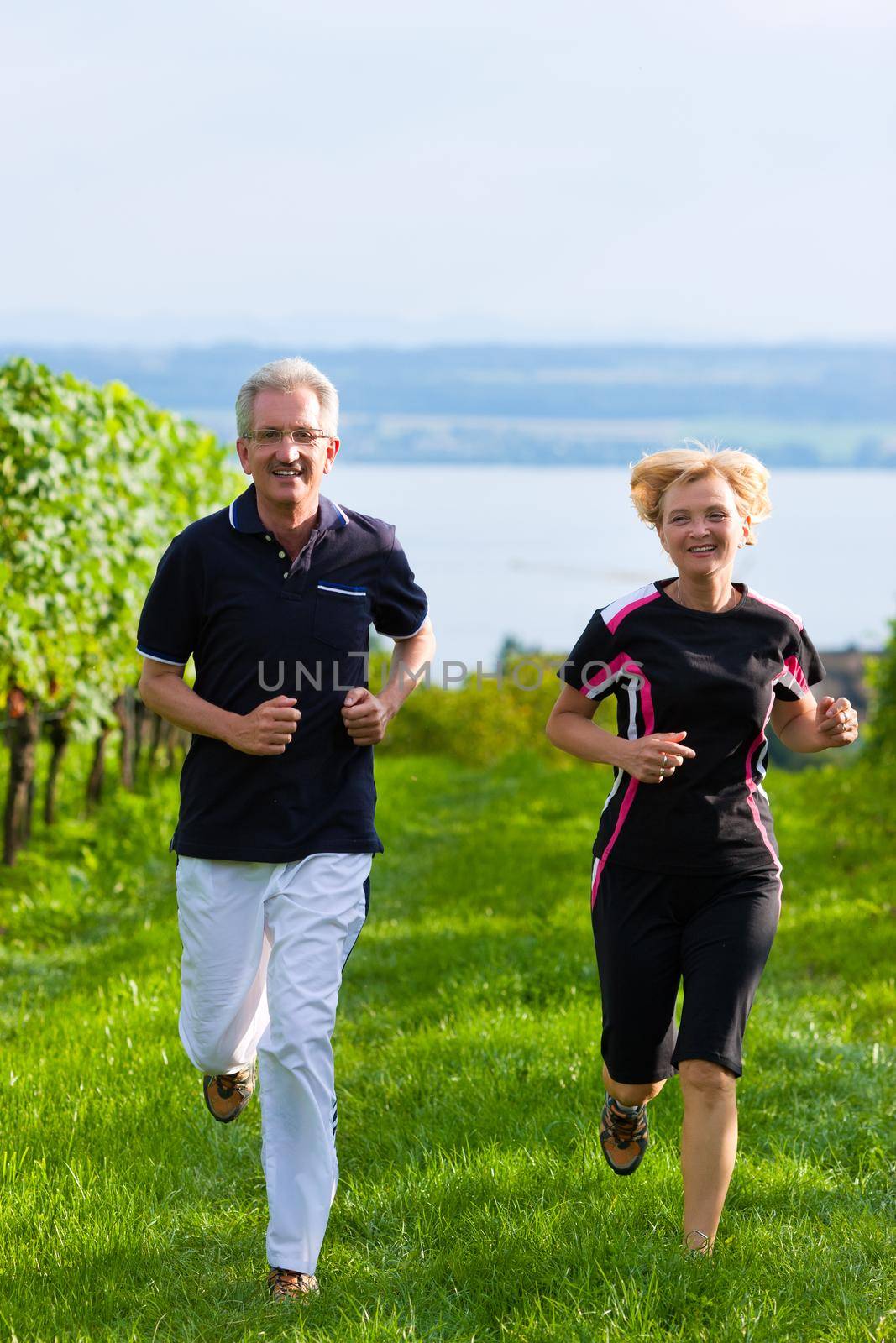 Mature or senior couple doing sport outdoors, jogging down a vineyard in summer