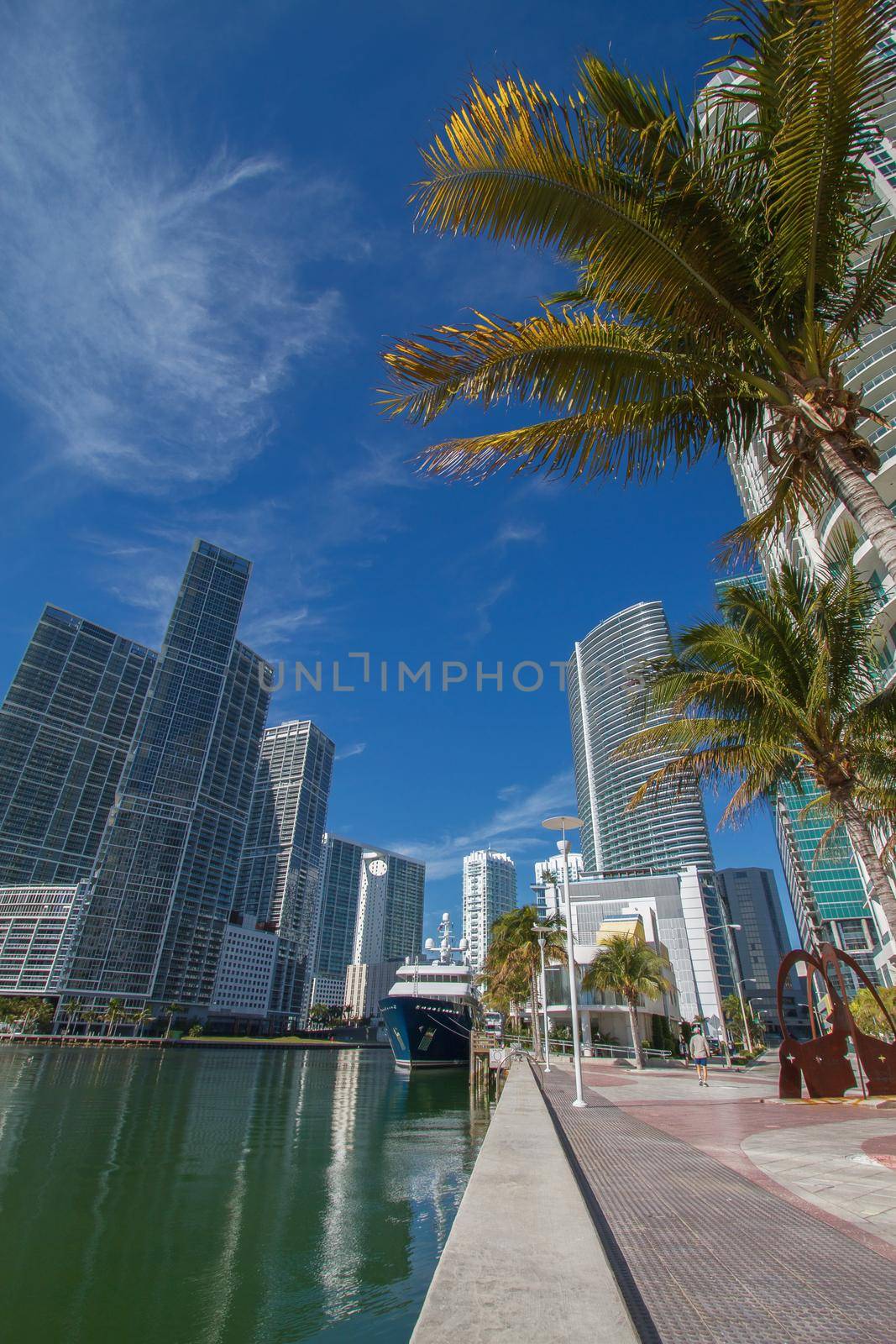 Miami Downtown River Cityscape Along the Brickell Area. Wide Angle Shot with Palms, Skyscrapers and Blue Sky.