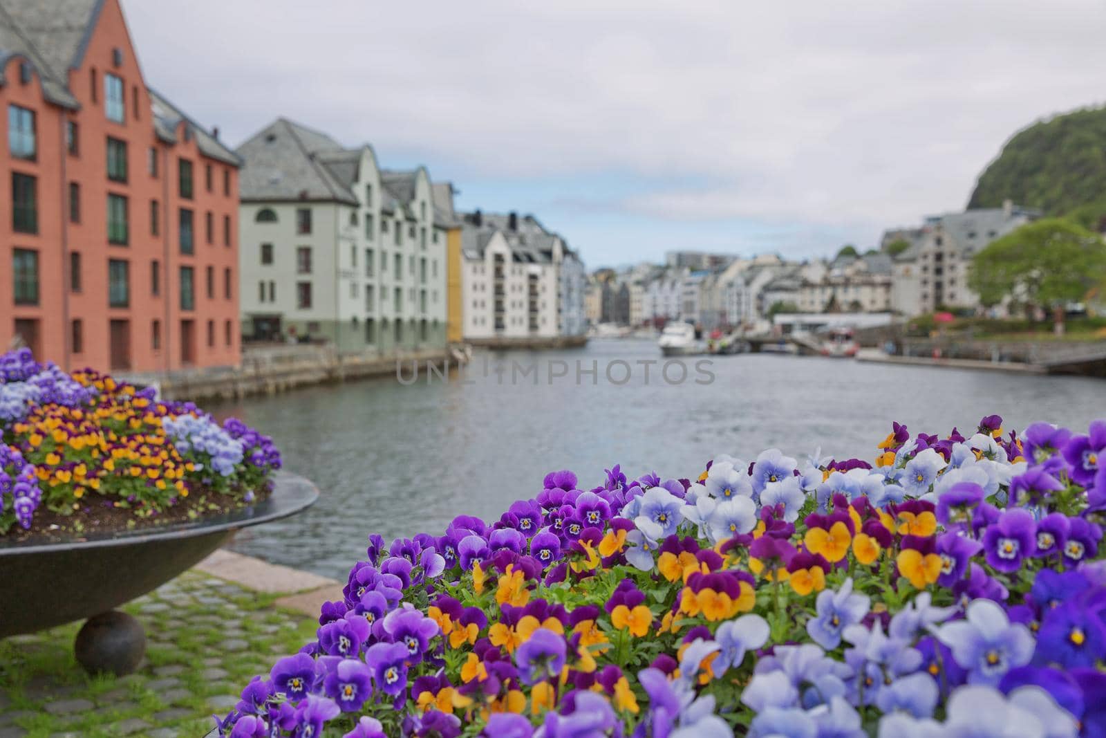 Alesund old town seafront view with Art Nouveau style houses and blooming colorfull flowers by wondry