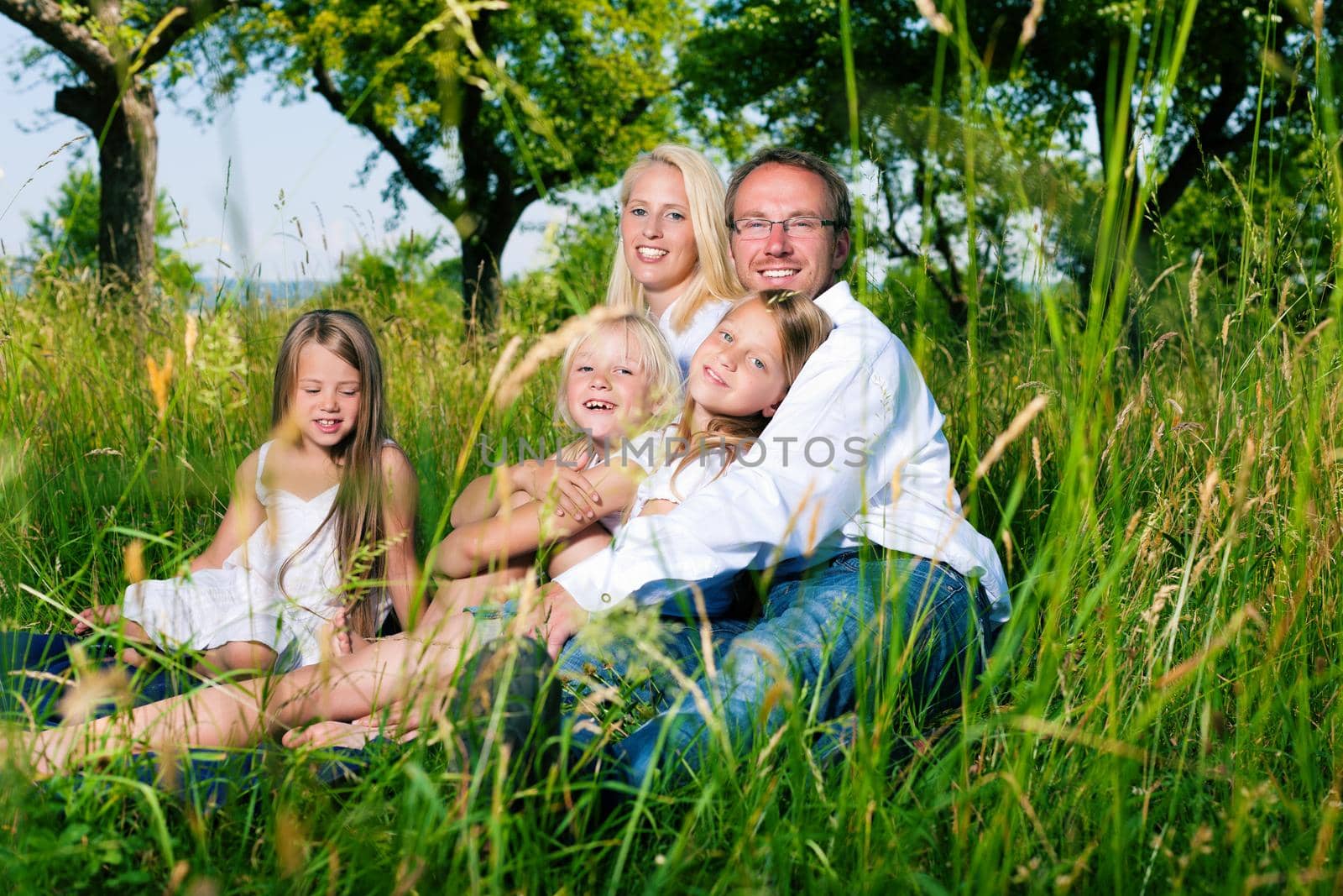 Happy family with daughter girls sitting in a meadow in summer