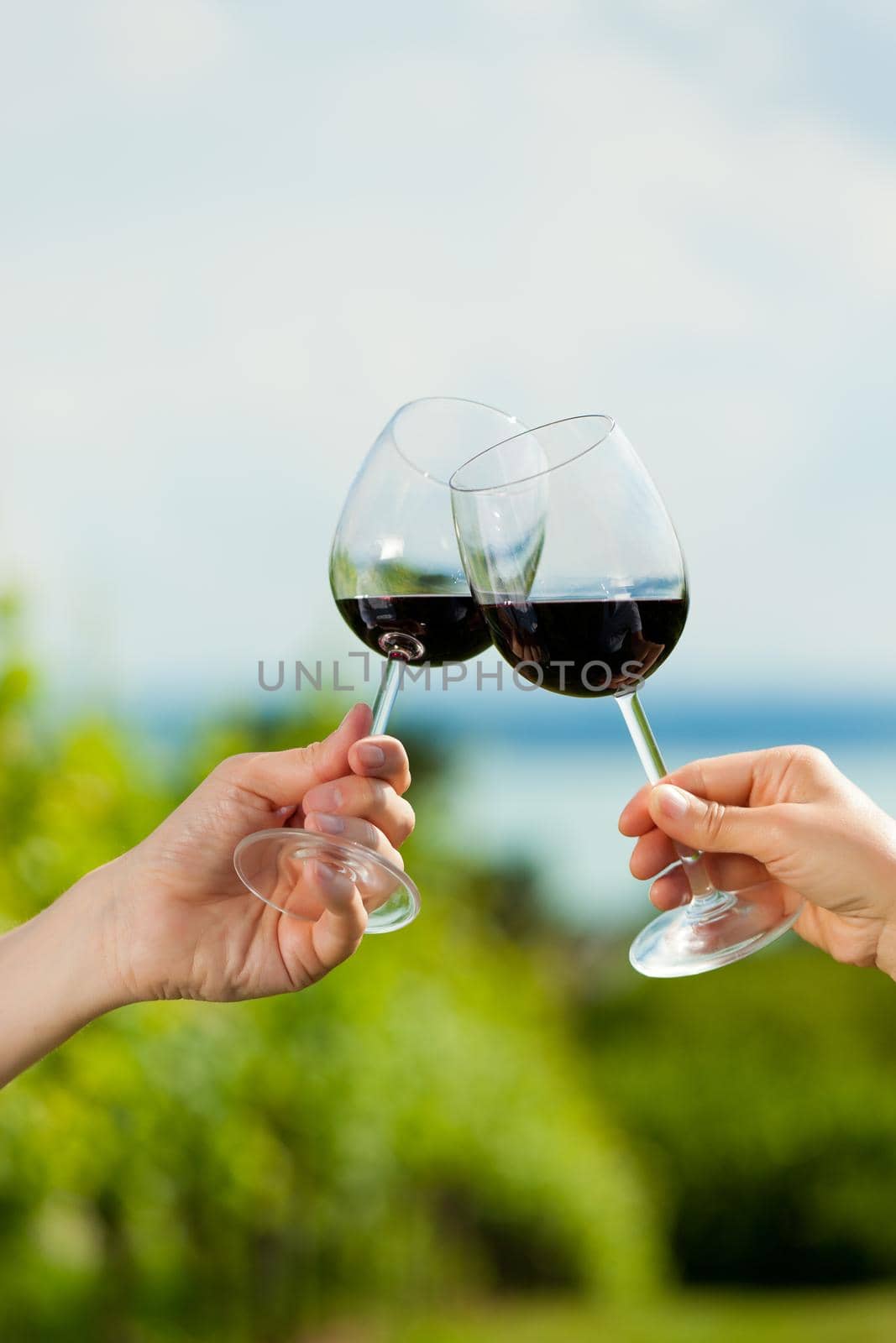 Happy couple - man and woman, only hands to be seen - drinking wine at lake in summer