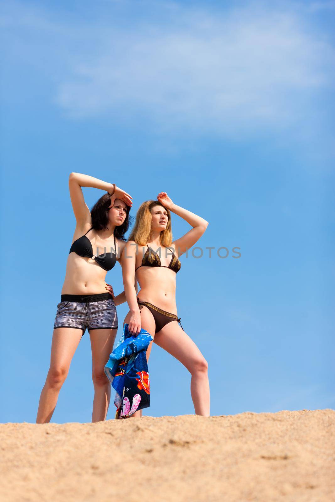 Two happy women with blue sky in the background in summer look out and have fun