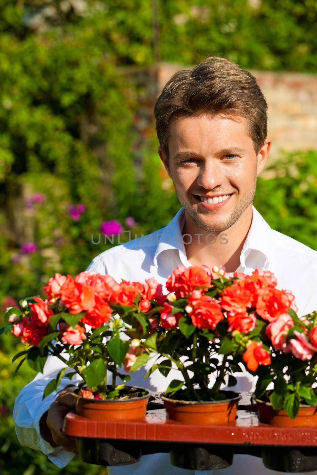 Gardening in summer - man with flowers in his garden