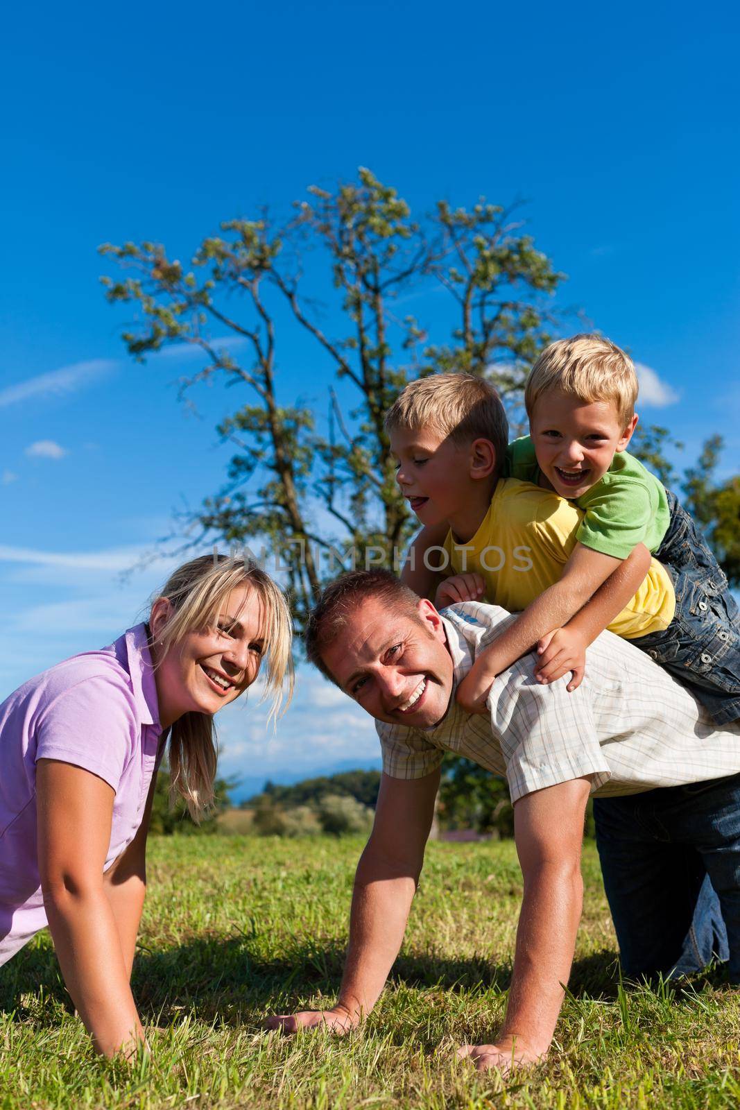 Happy family with two little boys playing in the grass on a summer meadow