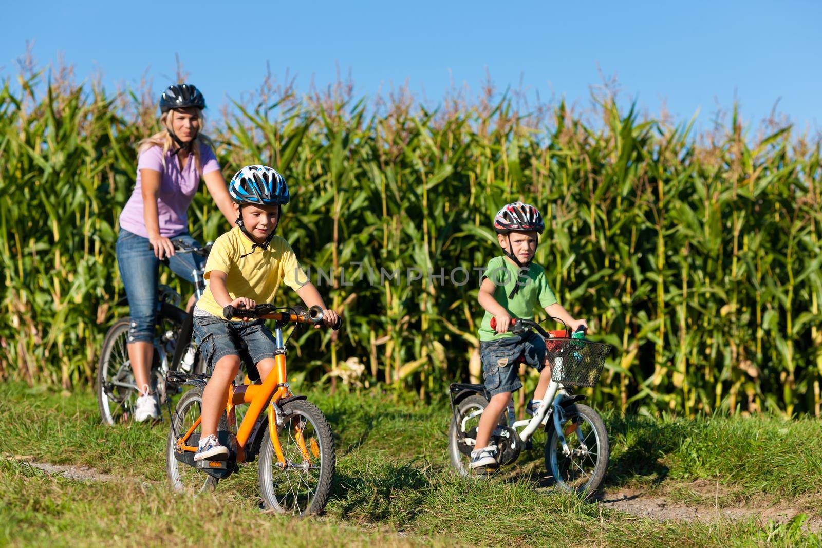 Family is cycling in summer - mother and two sons