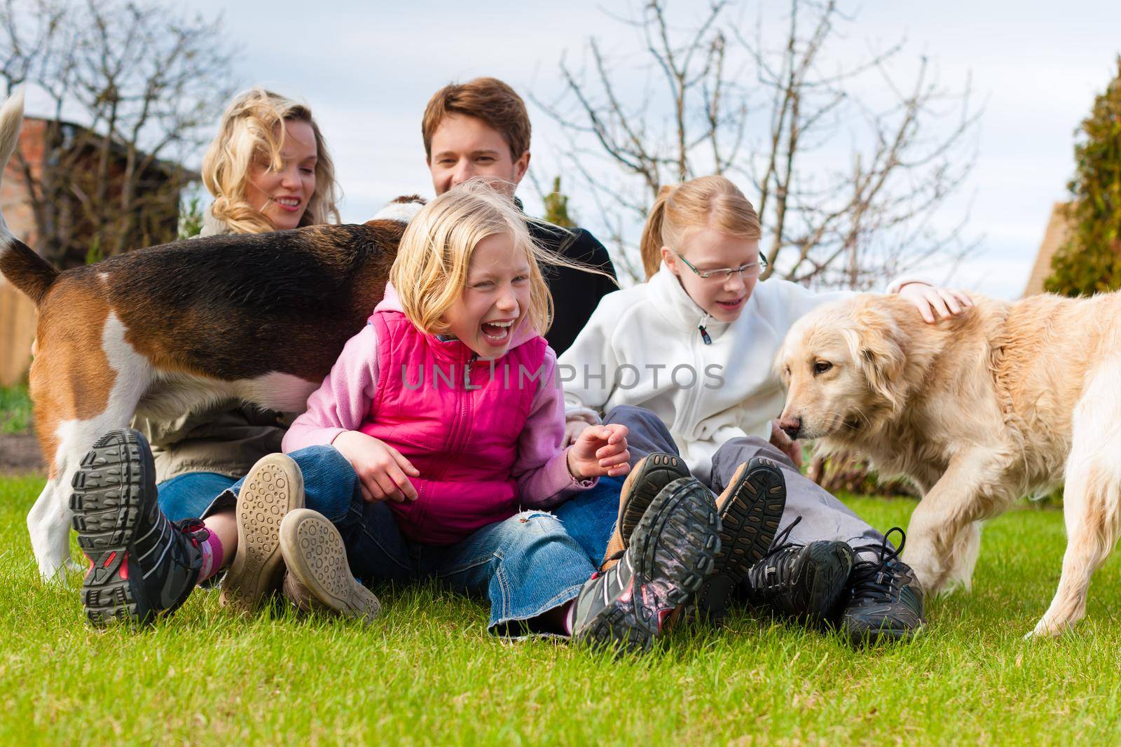 Family sitting with dogs together on a meadow by Kzenon