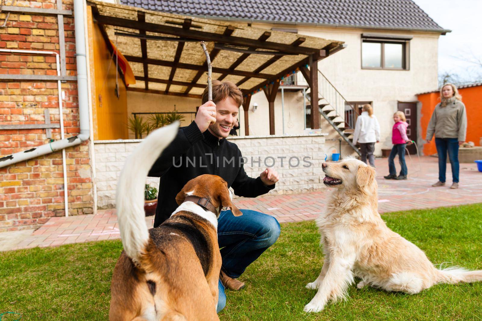 Young man or father playing with his dogs on a meadow with a stick, the family is in the background