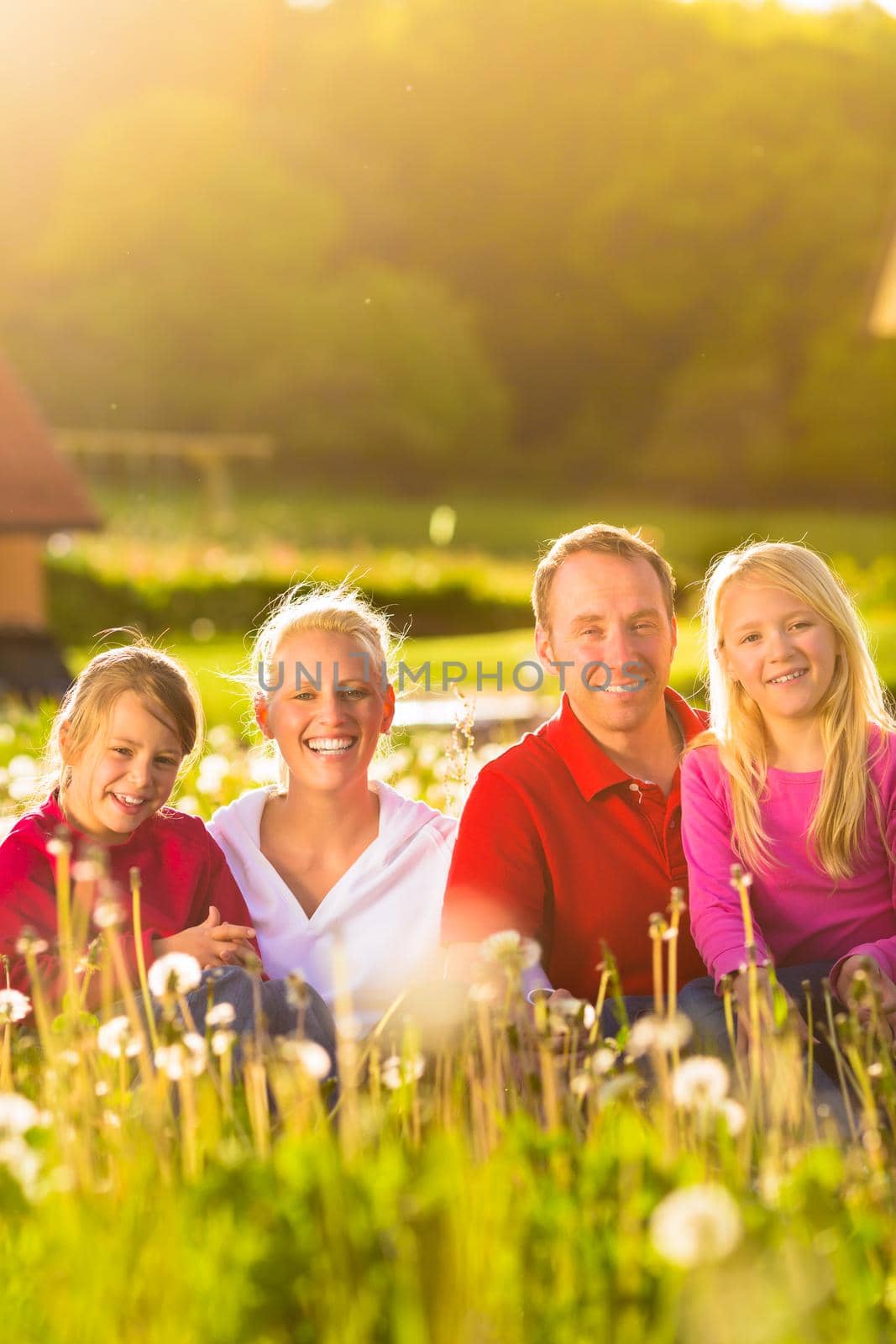 Happy family with daughters sitting in a meadow in summer