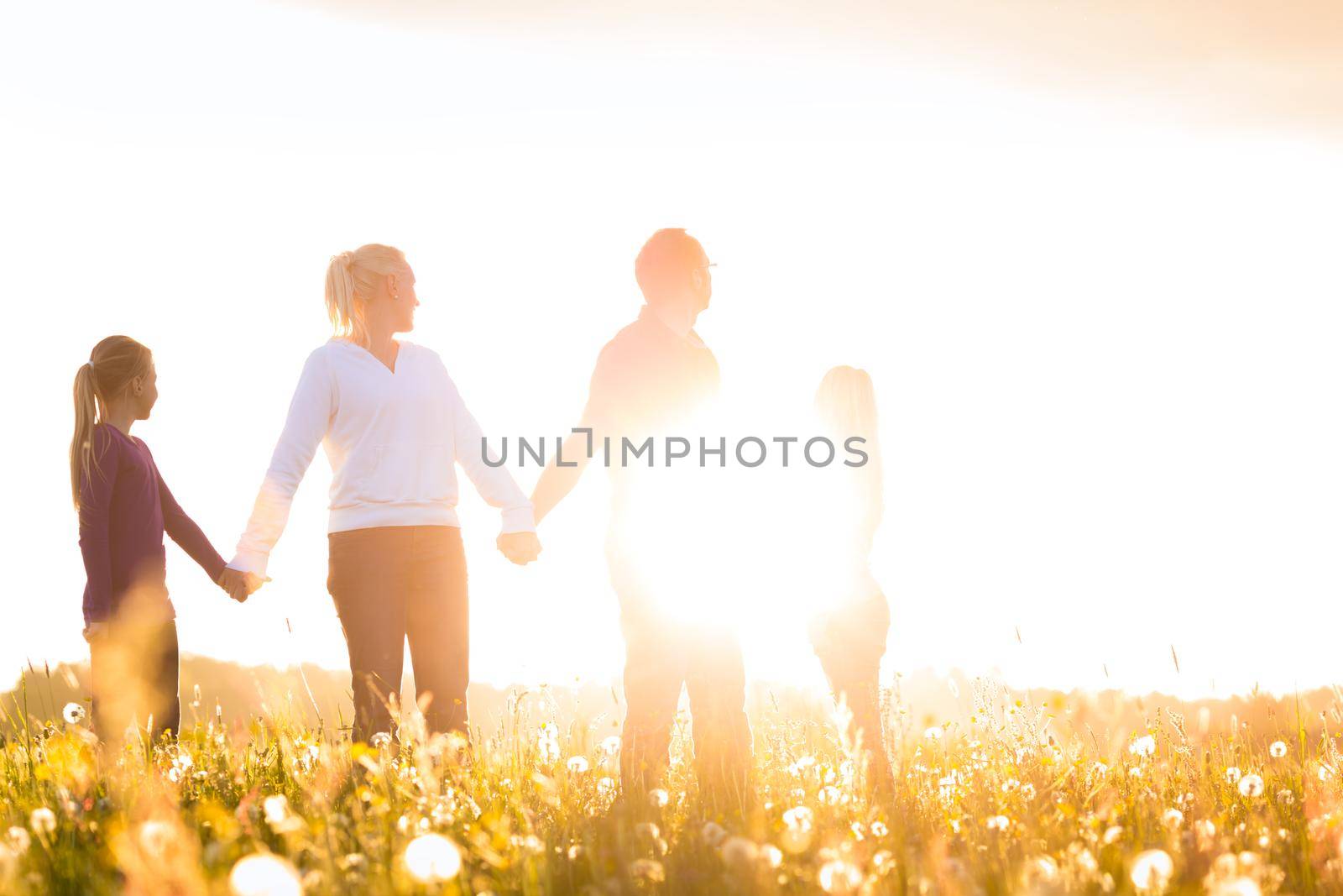 Happy family on meadow at sunset by Kzenon