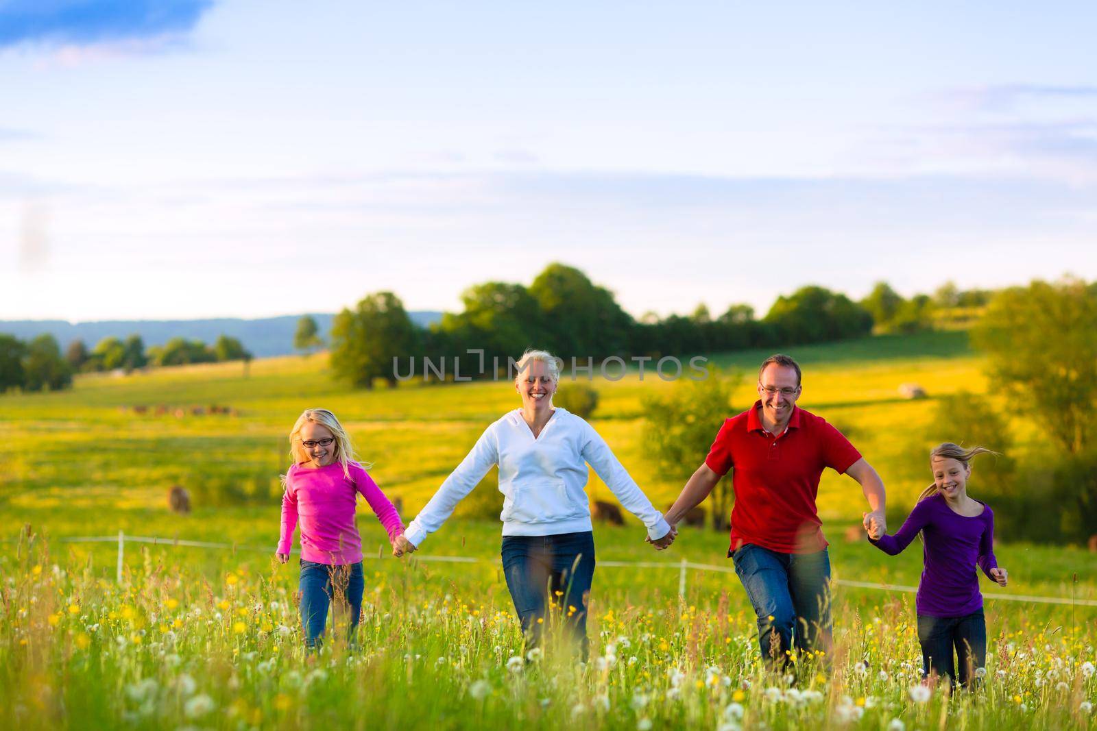 Happy family with daughters walking in the summer meadow