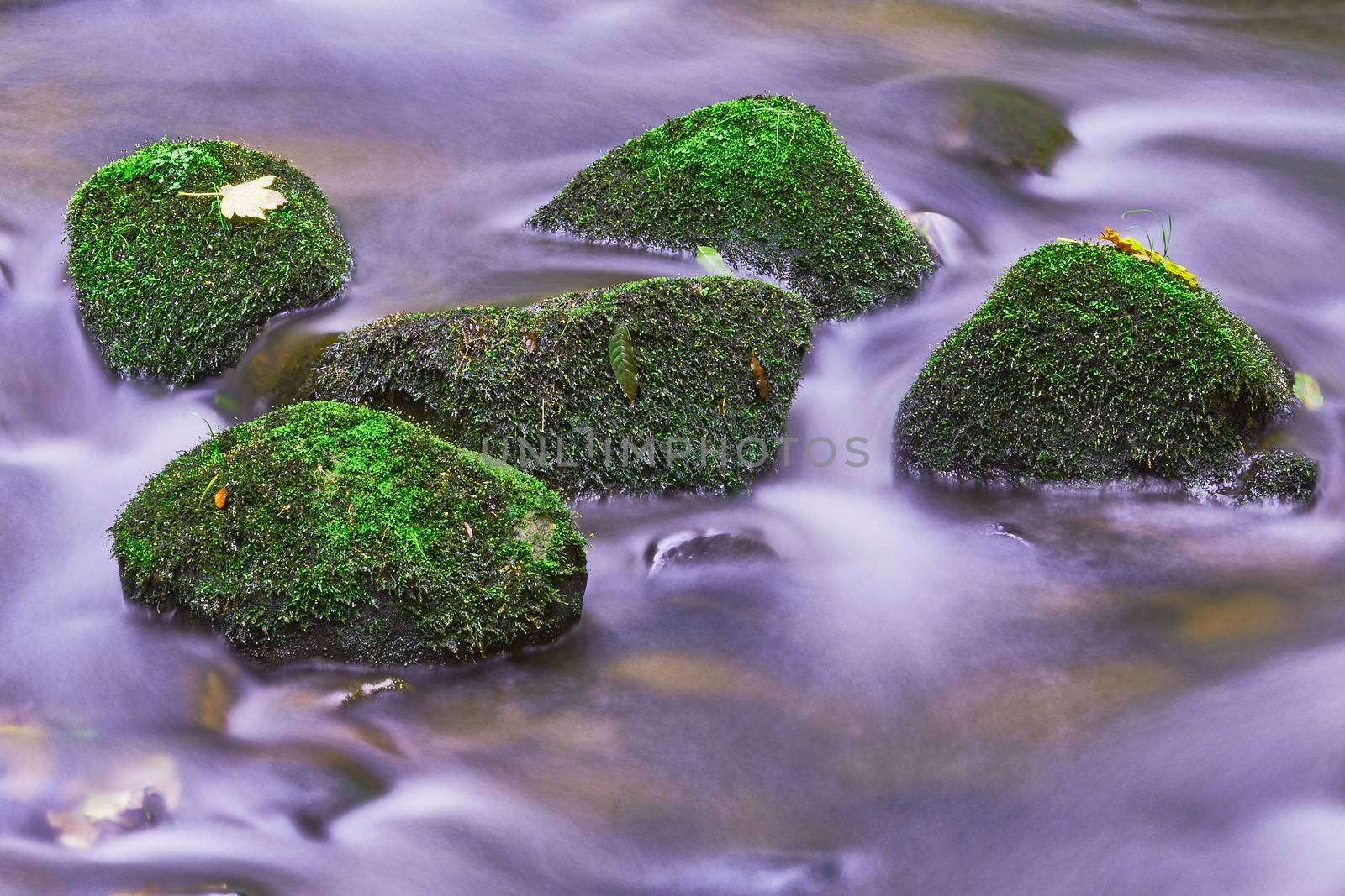 Autumnal view of a flowing brook with rocks